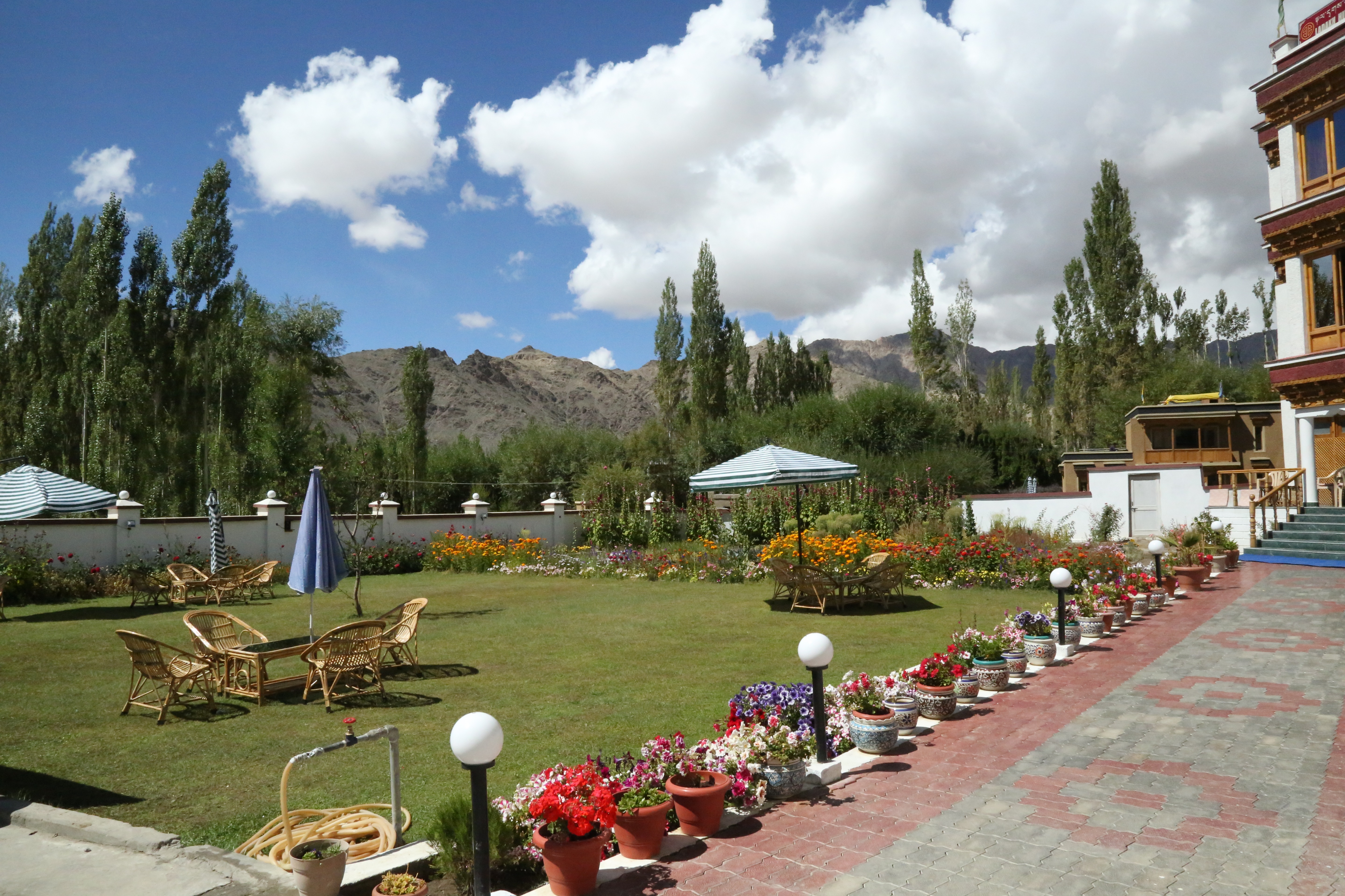 Ladakh Himalayan Retreat In leh