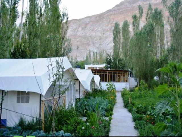 Mystique Meadows Swiss Cottage Camp In Nubra