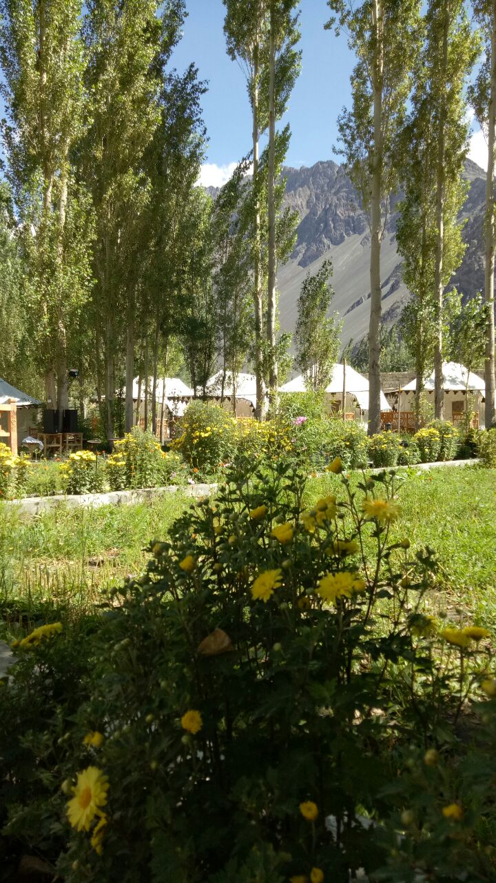 Nubra Ethnic Camp In Nubra