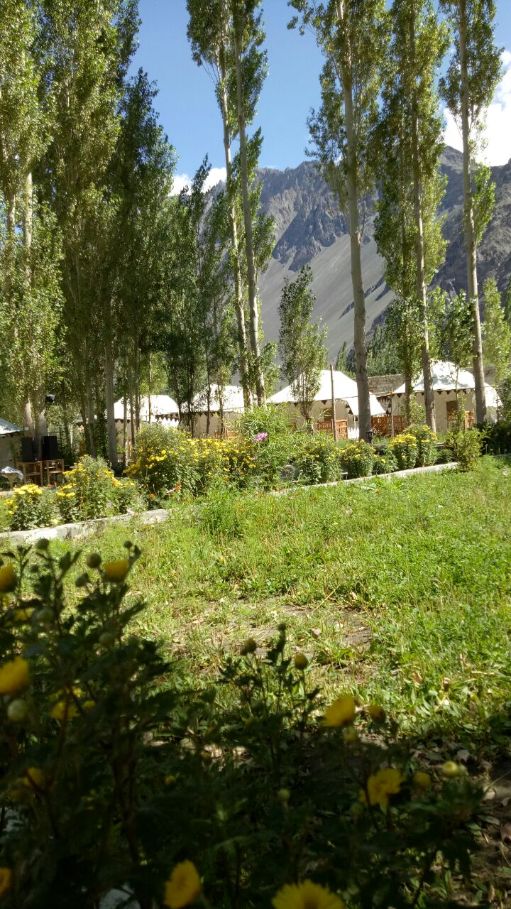 Nubra Ethnic Camp In Hunder