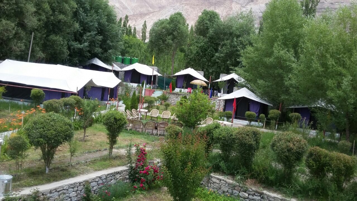 Valley Flower Camp