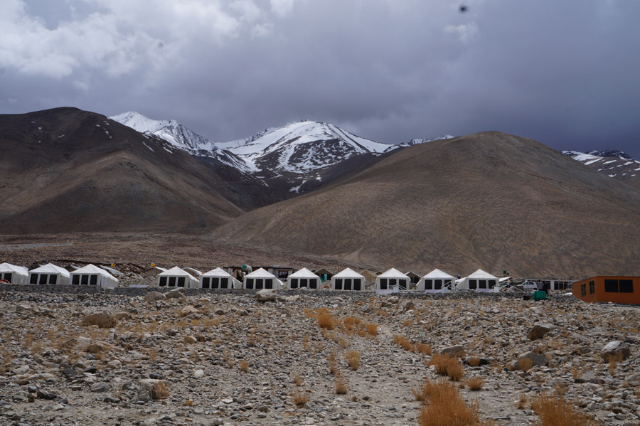 Ladakh Summer Camp In Pangong