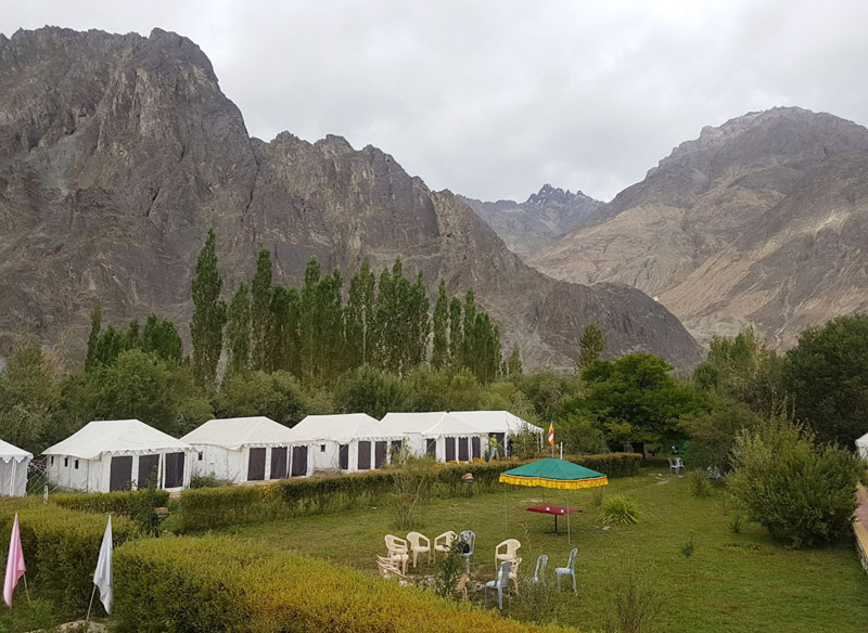 Ladakh Summer Camp In Nubra