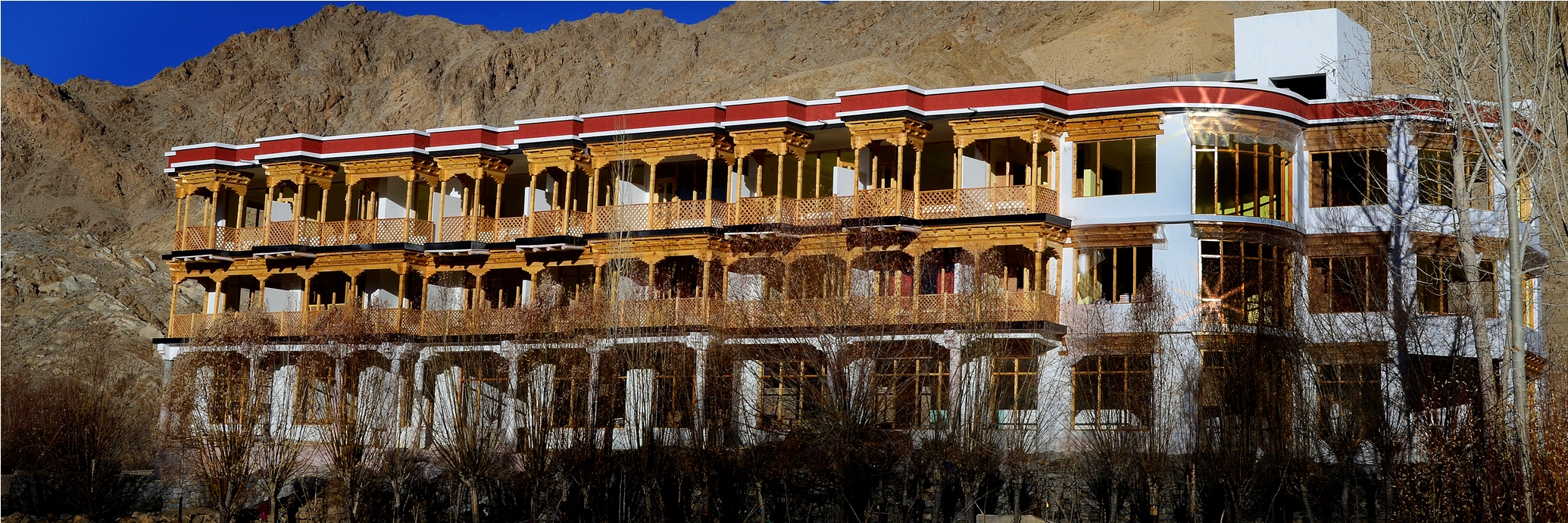Hotel Ladakh Palace