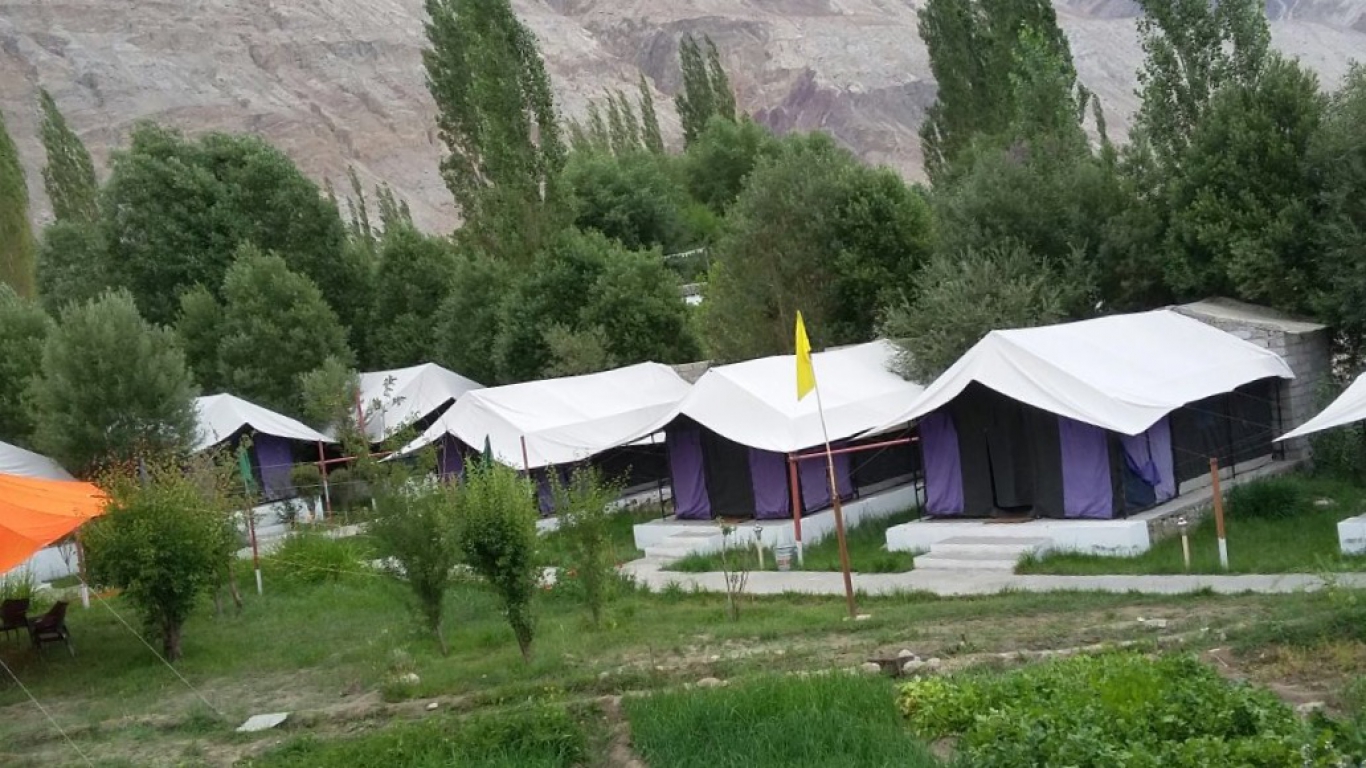 Valley Flower Camp