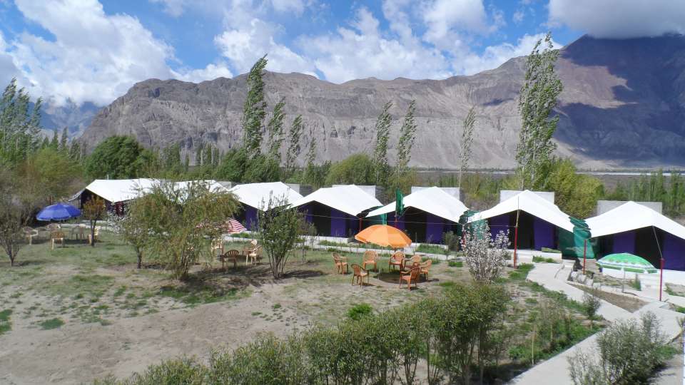 Tiger Camp Nubra