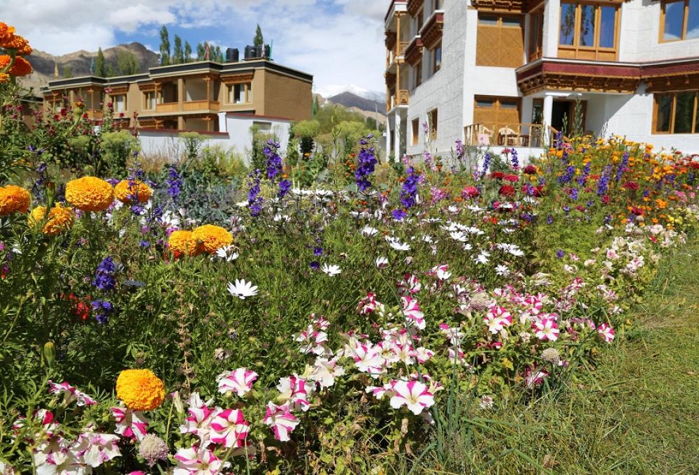 Ladakh Himalayan Retreat