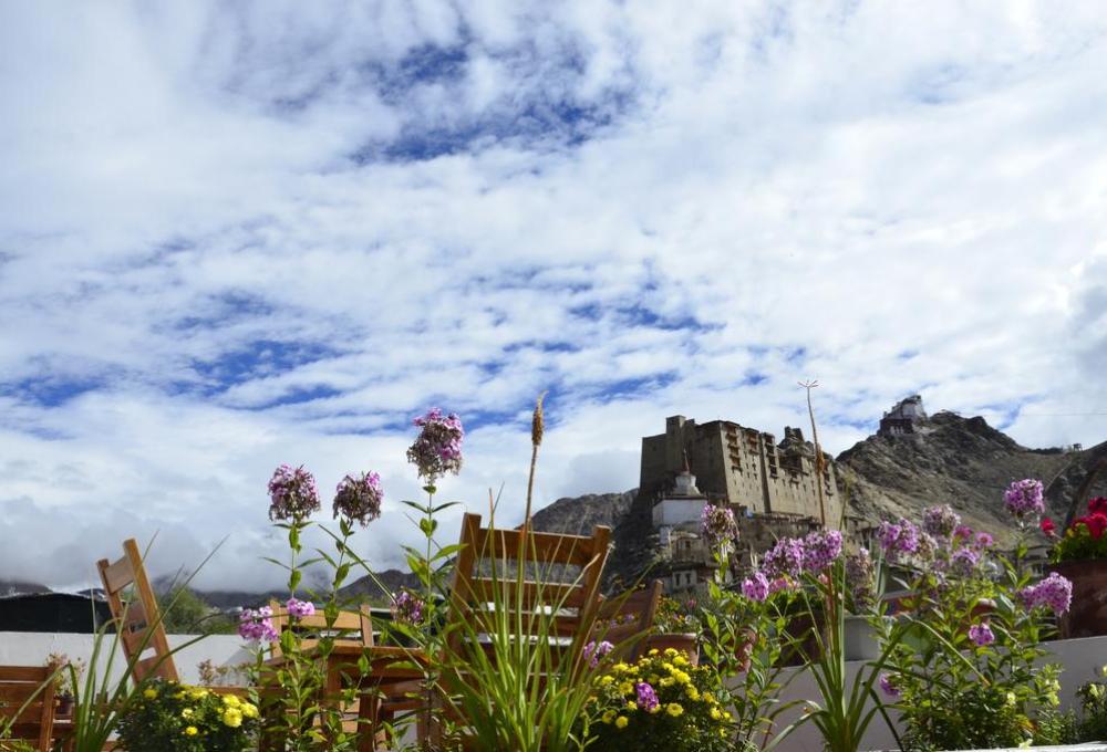 Lingzi Hotal In Leh