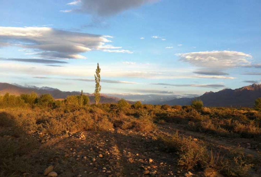 The Grand Ladakh in Leh