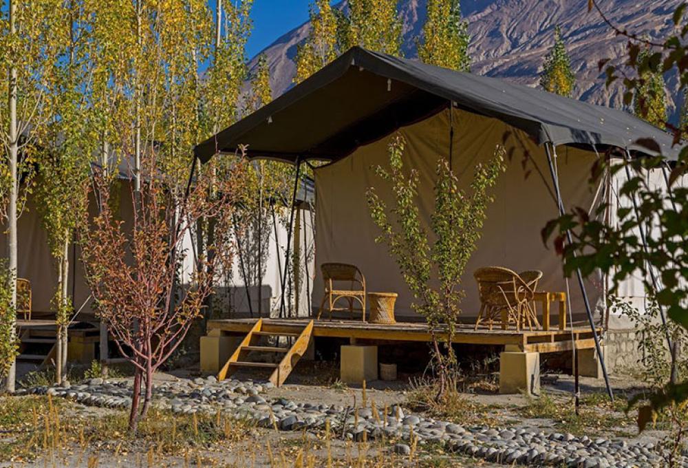 Nubra Ecolodge