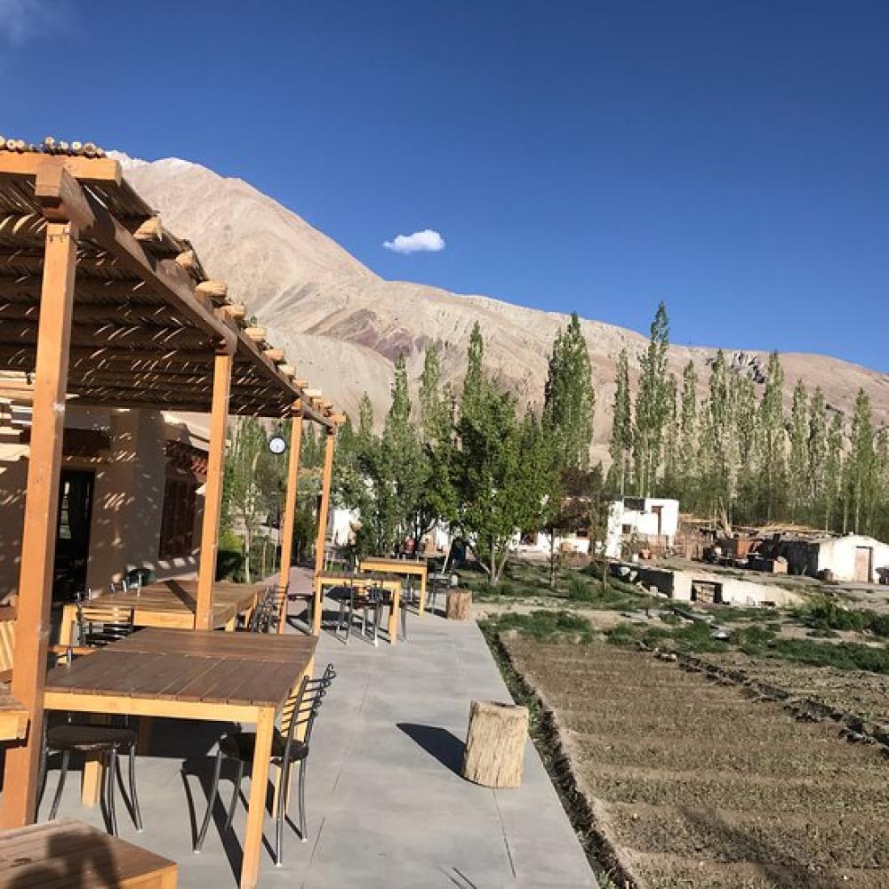 Nubra Ecolodge