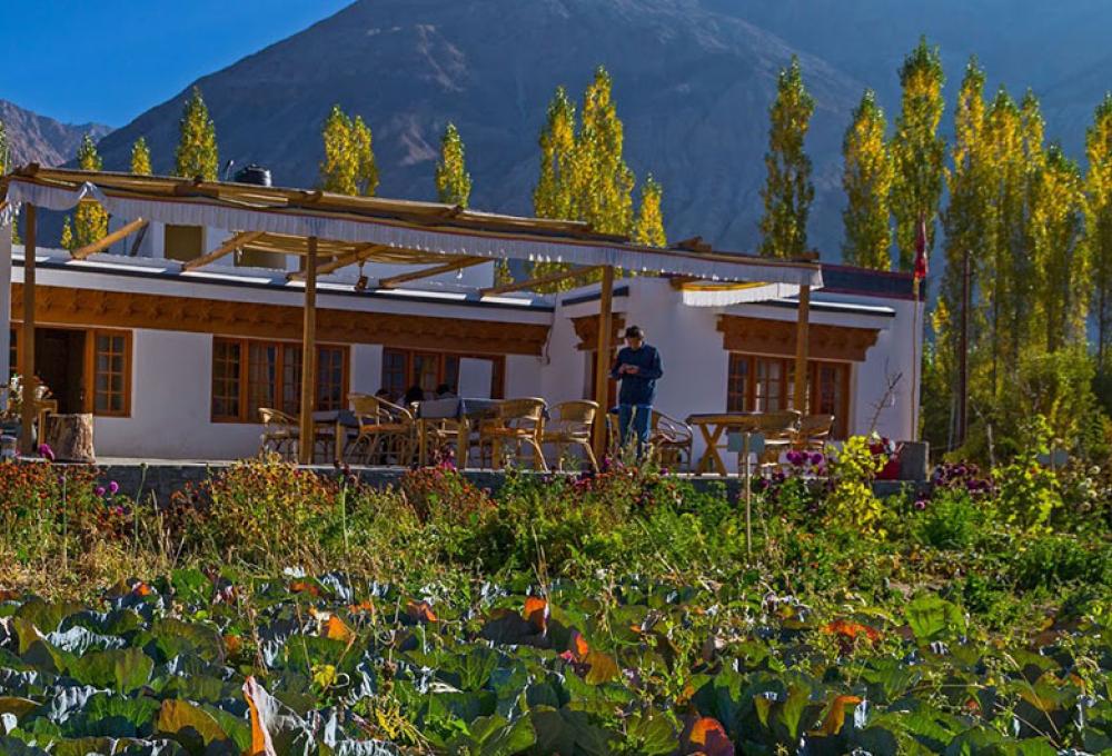 Nubra Ecolodge In Nubra