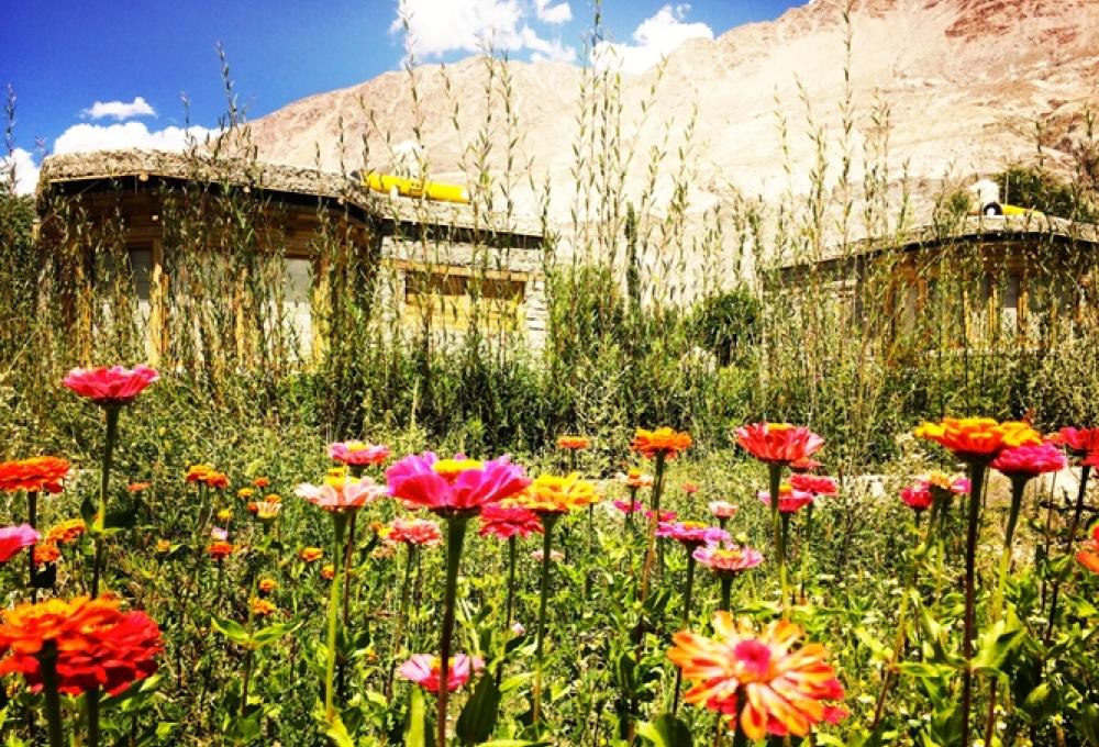 Lchang Nang Retreat In Nubra Valley