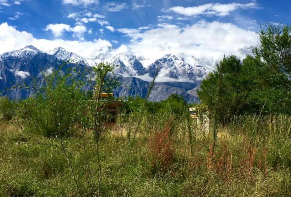 Lchang Nang Retreat In Nubra Valley