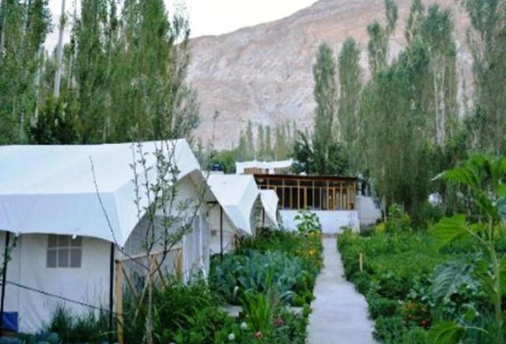 Mystique Meadows Swiss Cottage Camp In Nubra