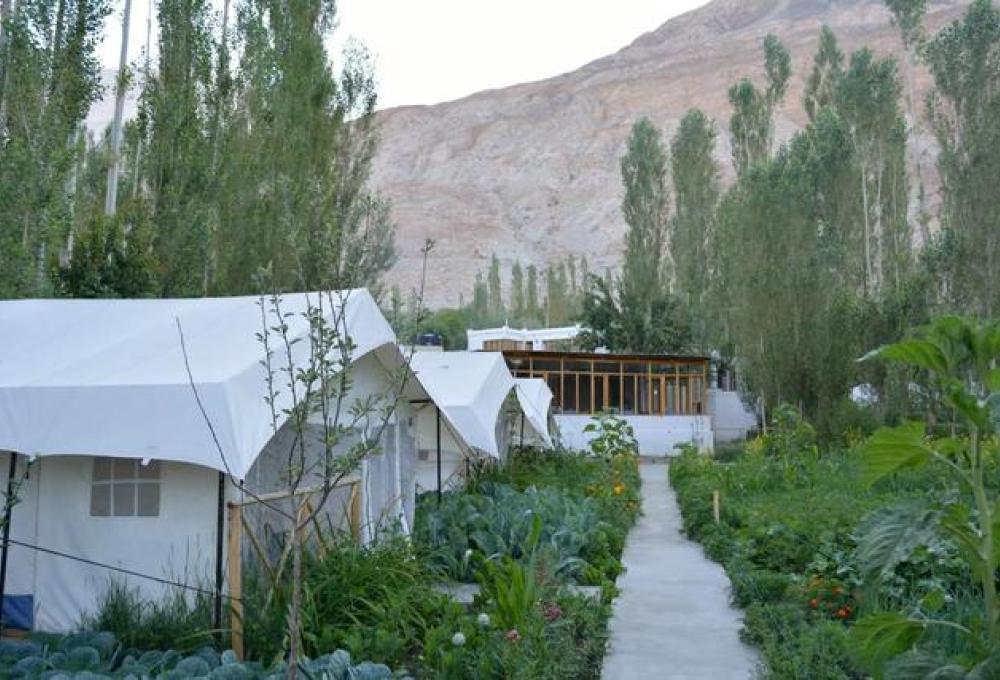 Mystique Meadows Swiss Cottage Camp In Nubra