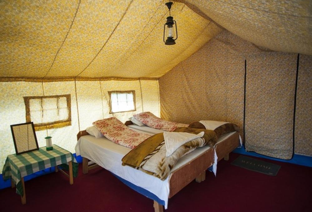 Mystique Meadows Swiss Cottage Camp In Nubra