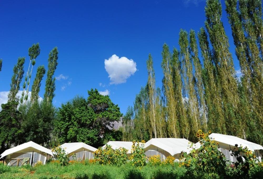 Mystique Meadows Swiss Cottage Camp In Nubra