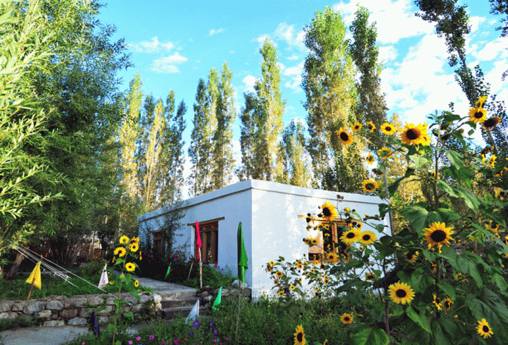 Nubra Ethnic Camp In Nubra