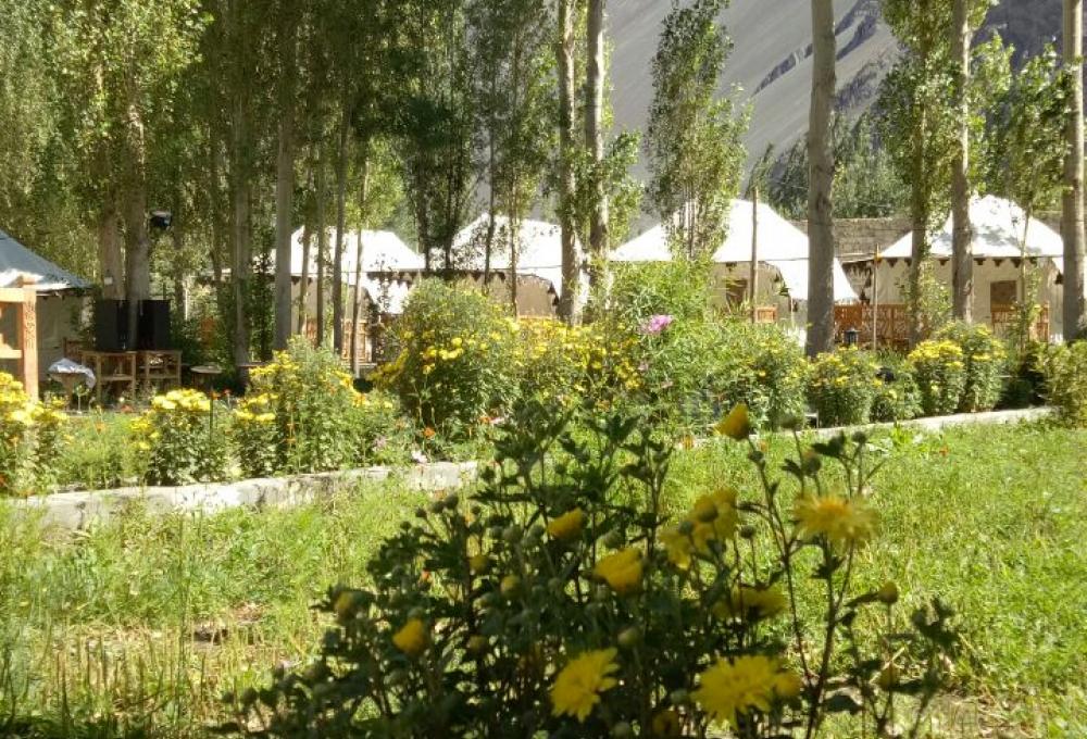 Nubra Ethnic Camp In Nubra