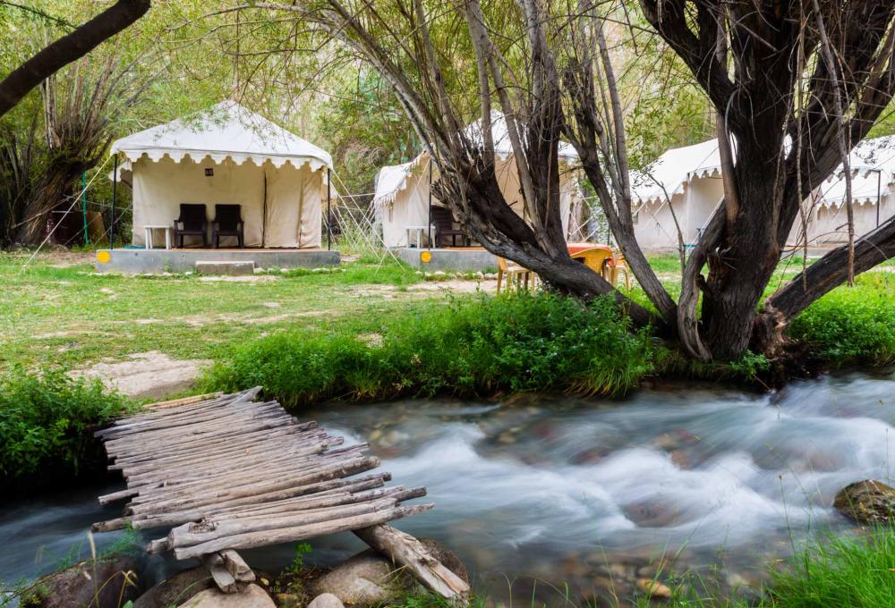 Royal Deluxe Camp in Nubra