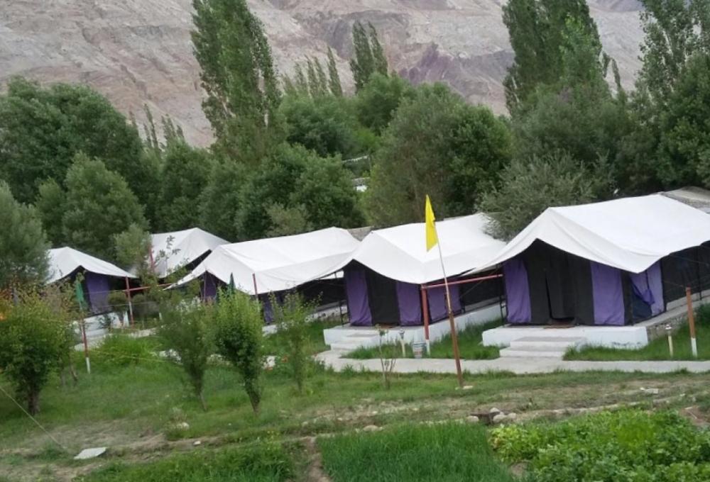 Valley Flower Camp