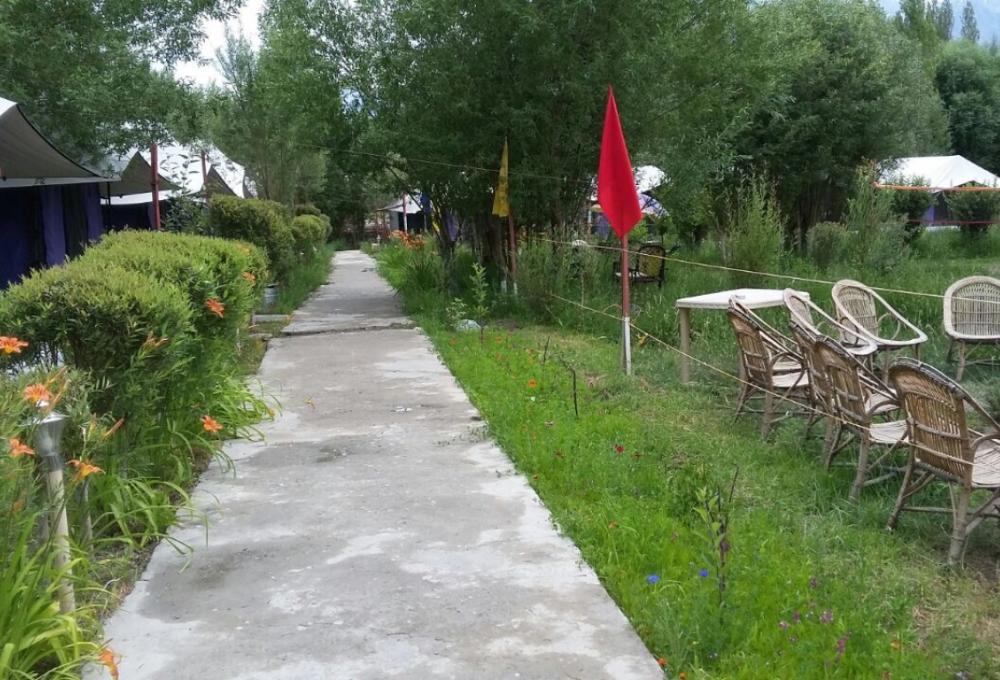 Valley Flower Camp in Nubra