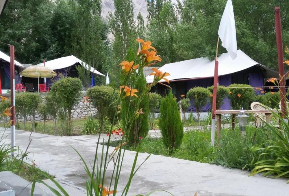 Valley Flower Camp in Nubra