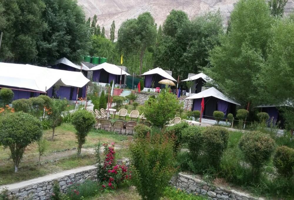 Valley Flower Camp