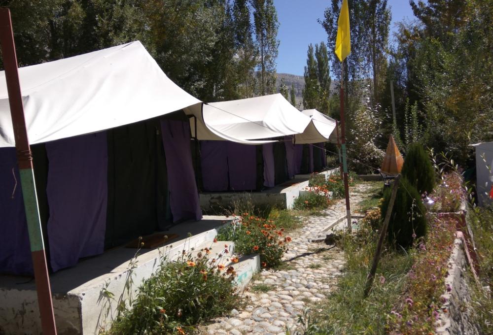 Valley Flower Camp in Nubra