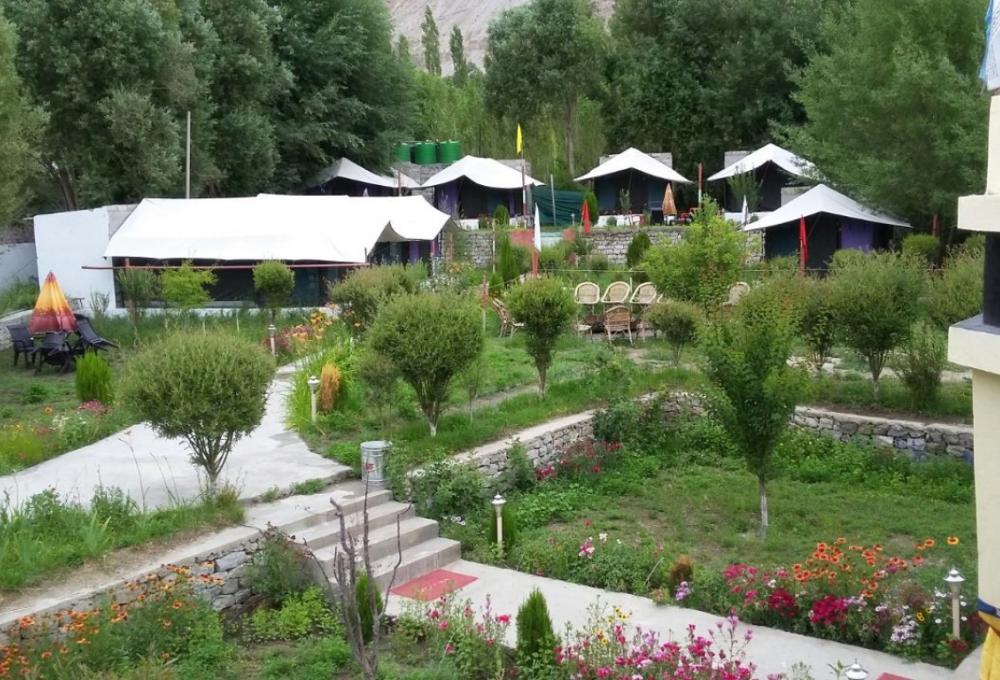 Valley Flower Camp