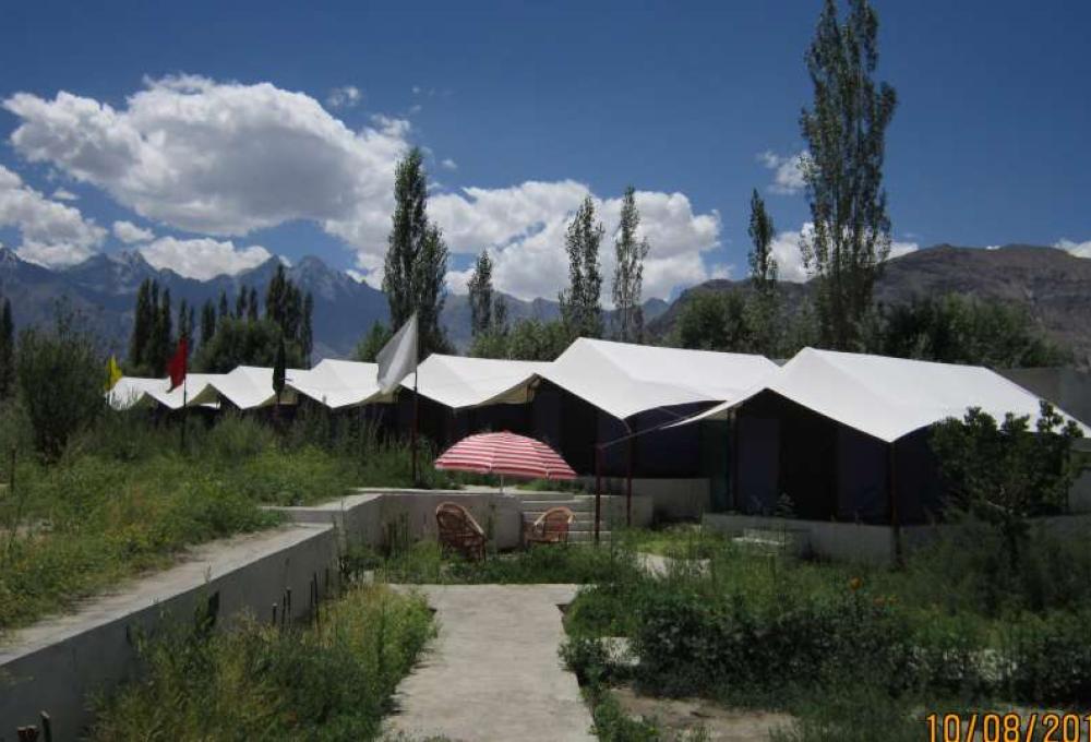 Tiger Camp In Nubra