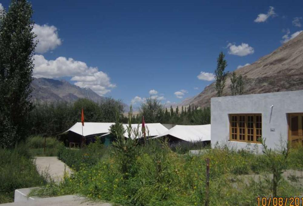 Tiger Camp Nubra