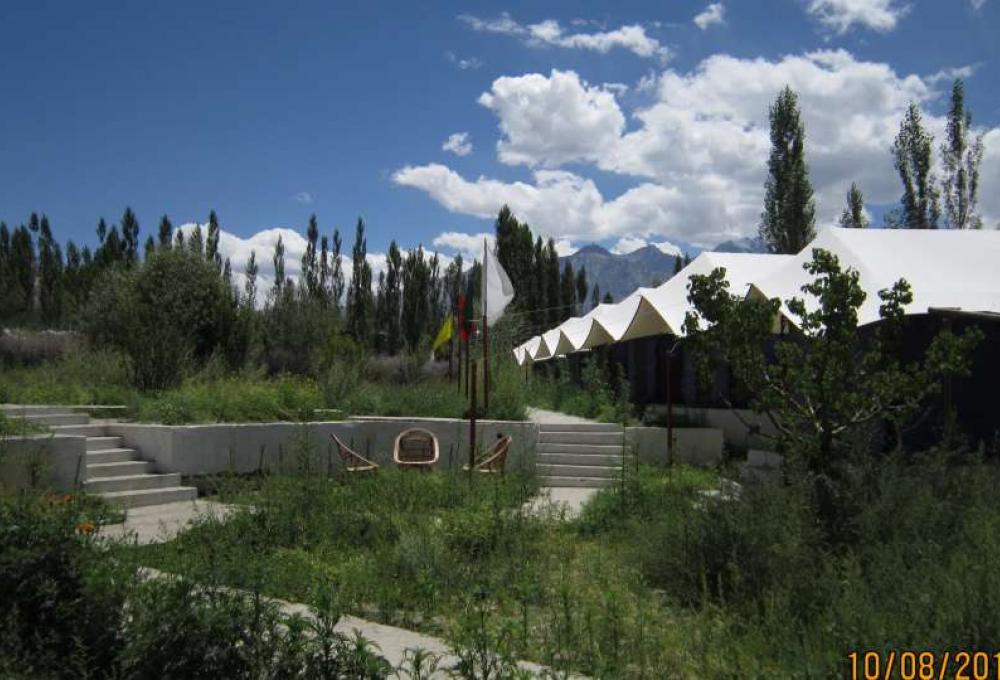 Tiger Camp In Nubra