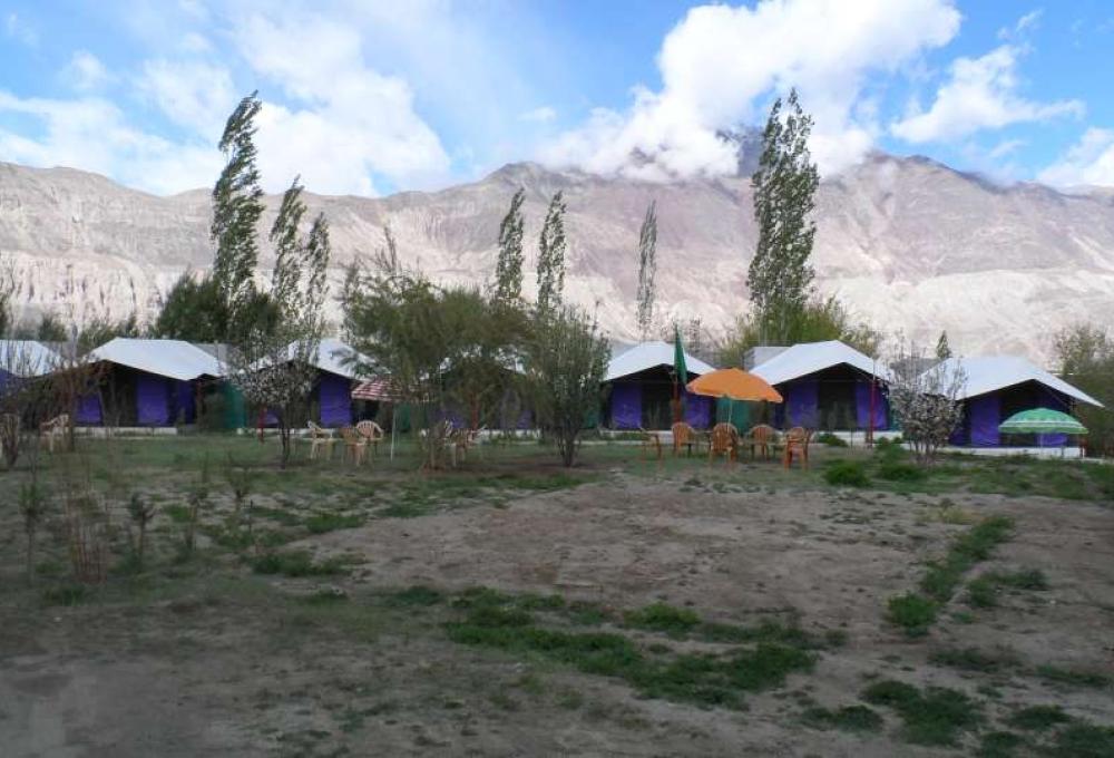 Tiger Camp Nubra