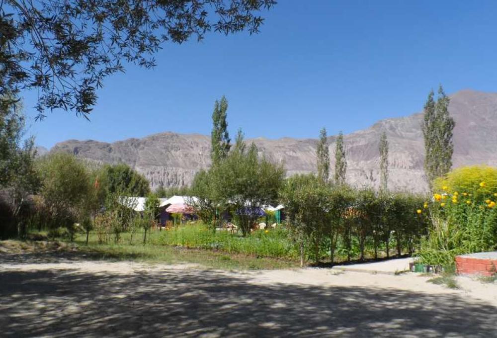 Tiger Camp Nubra