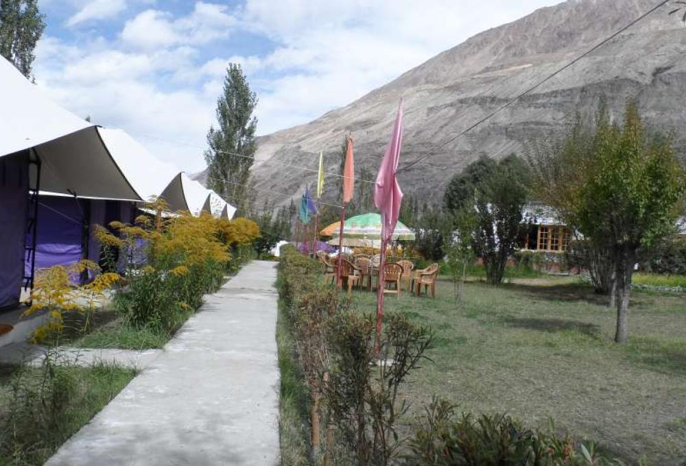 Tiger Camp In Nubra