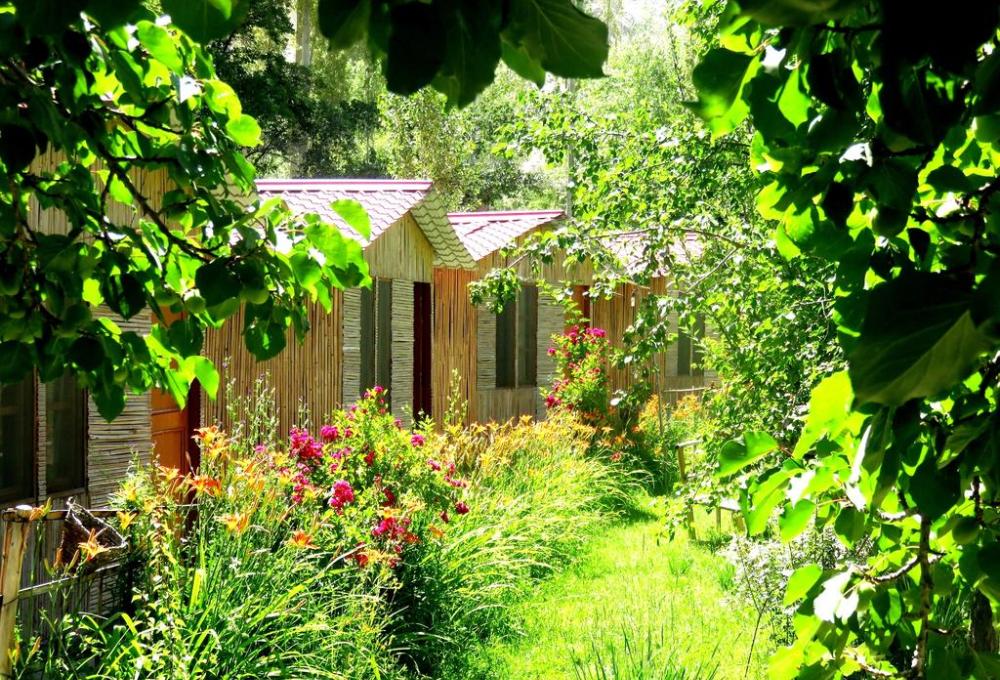 Silk Route Cottages In Nubra