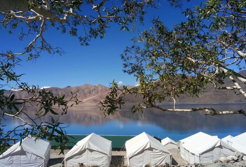 Pangong Heritage Camp