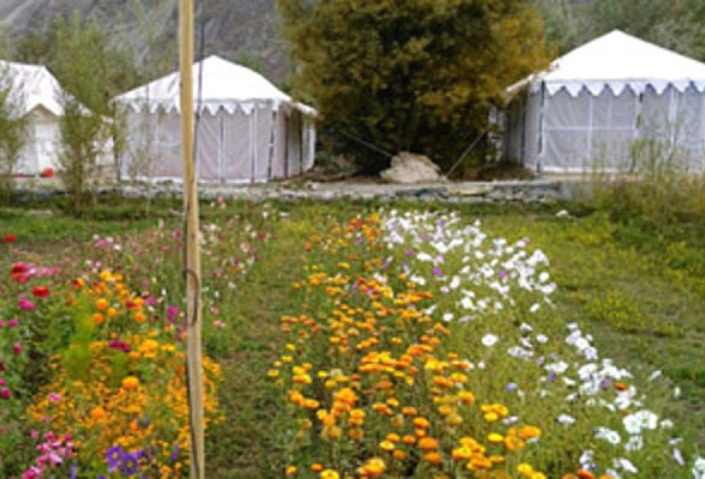 Ladakh Summer Camp In Nubra