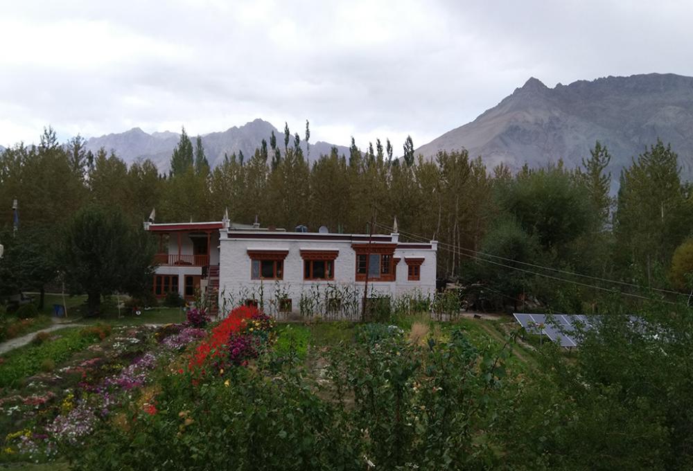 Hotel Snow Leopard