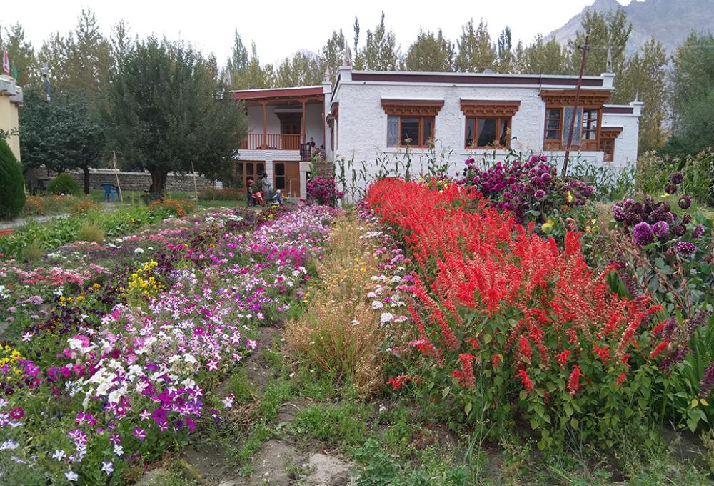 Hotel Snow Leopard