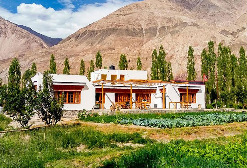 Nubra Ecolodge