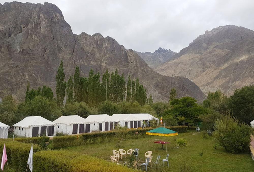 ladakh-summer-camp-nubra