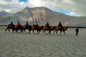 Nubra Valley