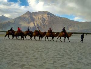 Nubra Valley