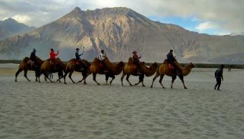 Incredible Ladakh 6 Nights