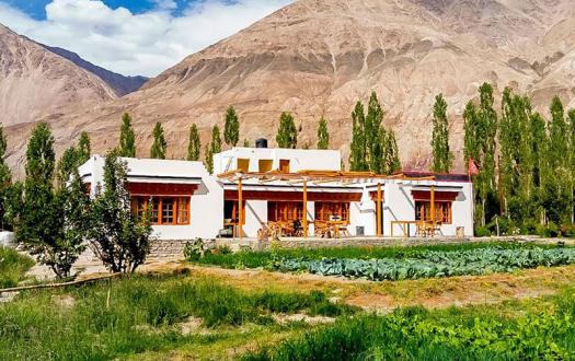 Nubra Ecolodge