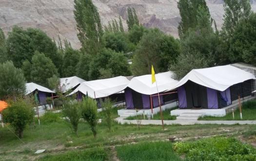 Valley Flower Camp