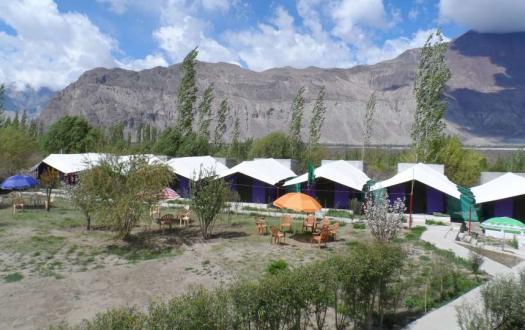 Tiger Camp Nubra